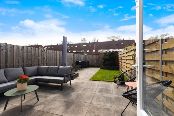 Scholekster 41_25.jpg